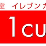 11cut